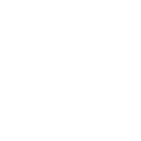 Initiator role icon