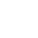 Controller role icon