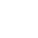 Sentinel role icon