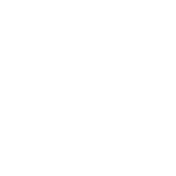 Aleko Misc VALORANT crosshair