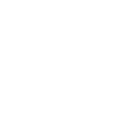 Nitro Plus VALORANT crosshair